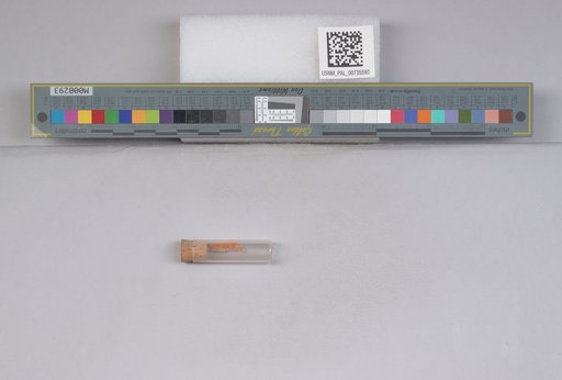 NSF ADBC EPICC TCN