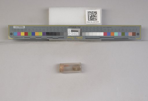 NSF ADBC EPICC TCN