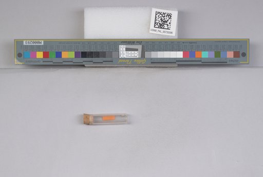 NSF ADBC EPICC TCN