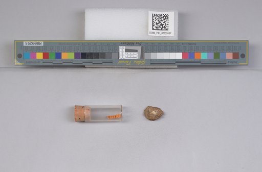 NSF ADBC EPICC TCN