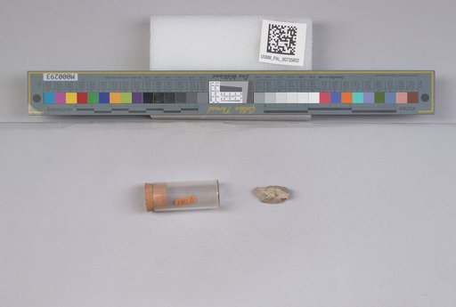 NSF ADBC EPICC TCN