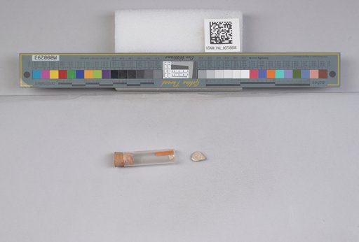 NSF ADBC EPICC TCN