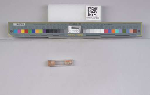 NSF ADBC EPICC TCN