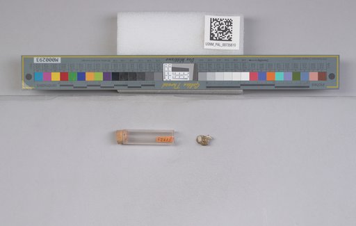 NSF ADBC EPICC TCN