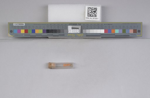 NSF ADBC EPICC TCN