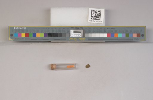 NSF ADBC EPICC TCN