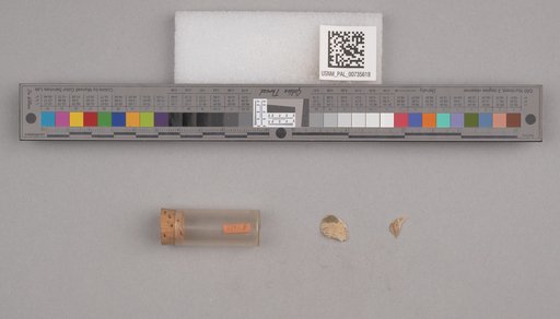 NSF ADBC EPICC TCN