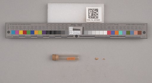 NSF ADBC EPICC TCN