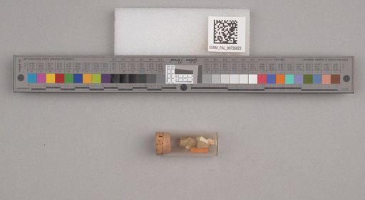 NSF ADBC EPICC TCN