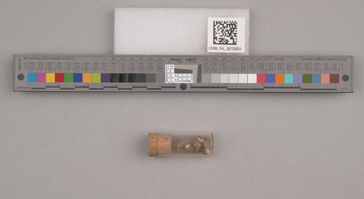 NSF ADBC EPICC TCN