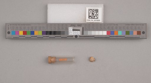 NSF ADBC EPICC TCN
