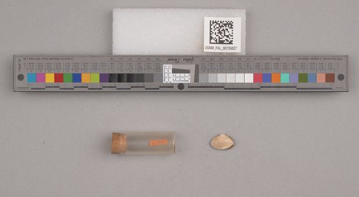 NSF ADBC EPICC TCN
