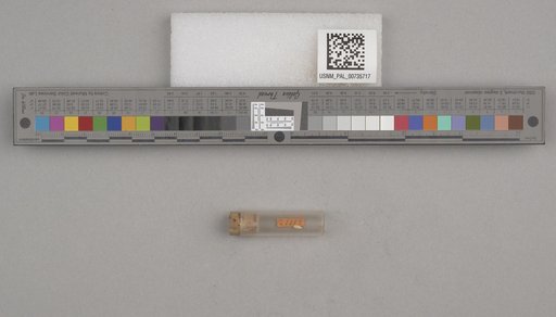 NSF ADBC EPICC TCN