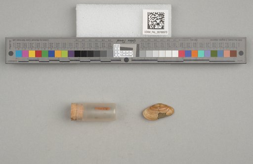 NSF ADBC EPICC TCN