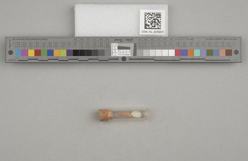 NSF ADBC EPICC TCN