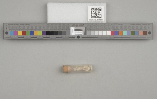 NSF ADBC EPICC TCN