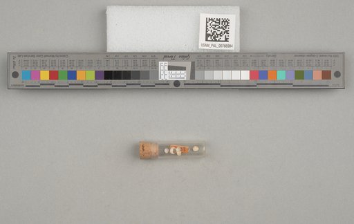 NSF ADBC EPICC TCN