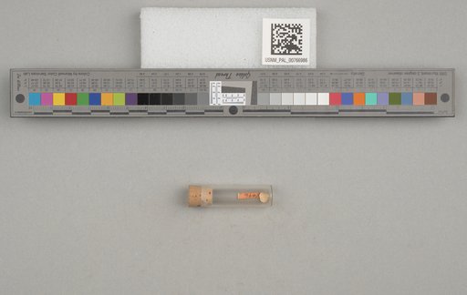 NSF ADBC EPICC TCN