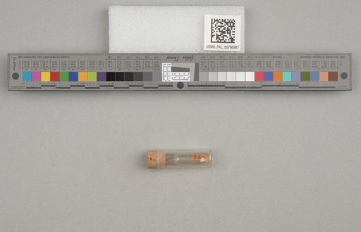 NSF ADBC EPICC TCN