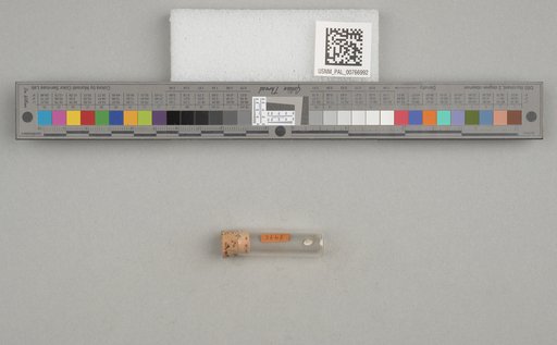 NSF ADBC EPICC TCN