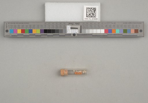 NSF ADBC EPICC TCN