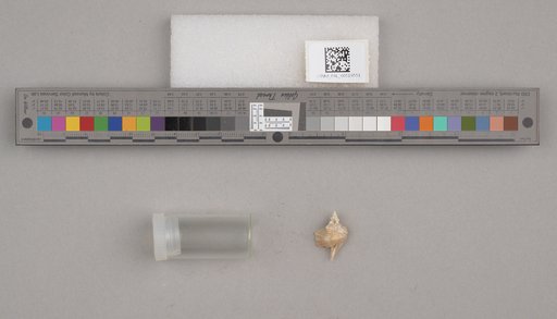 NSF ADBC EPICC TCN