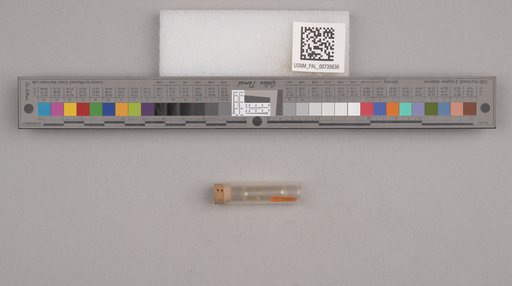 NSF ADBC EPICC TCN