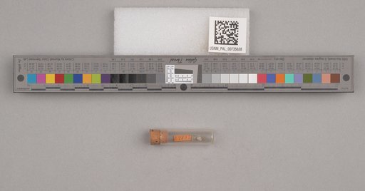 NSF ADBC EPICC TCN