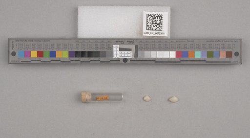 NSF ADBC EPICC TCN