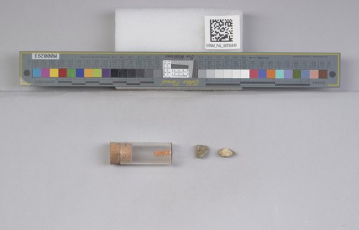 NSF ADBC EPICC TCN