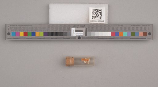 NSF ADBC EPICC TCN