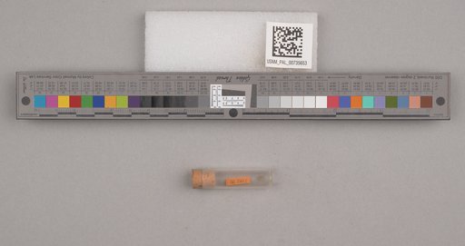 NSF ADBC EPICC TCN