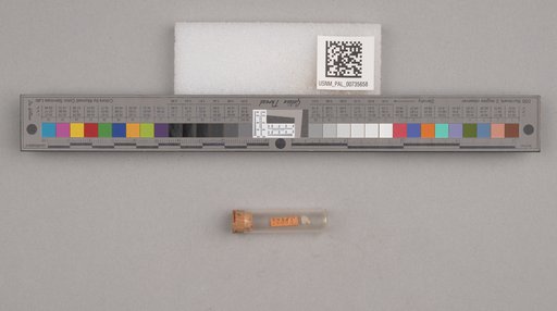 NSF ADBC EPICC TCN