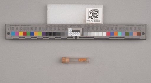 NSF ADBC EPICC TCN