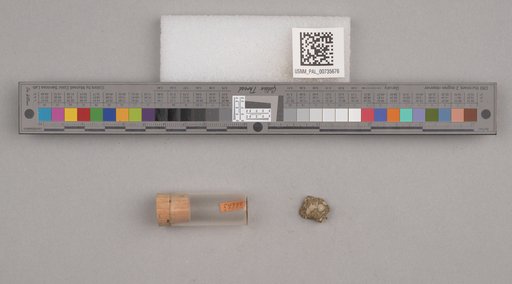 NSF ADBC EPICC TCN