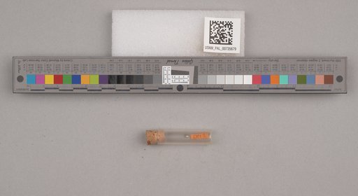 NSF ADBC EPICC TCN