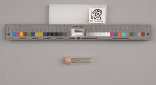 NSF ADBC EPICC TCN