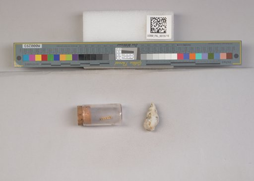 NSF ADBC EPICC TCN