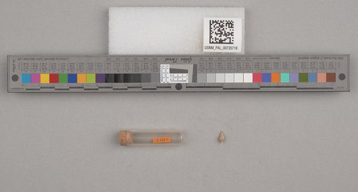 NSF ADBC EPICC TCN