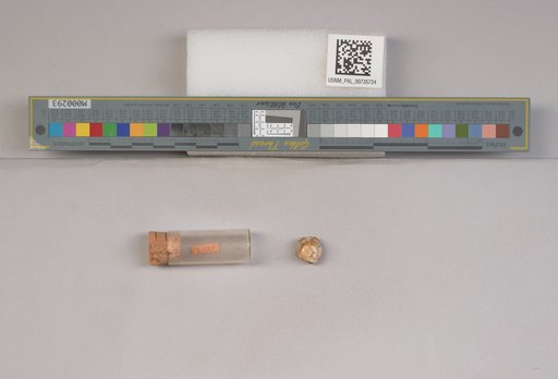 NSF ADBC EPICC TCN