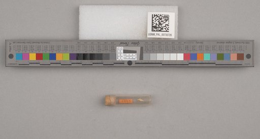 NSF ADBC EPICC TCN
