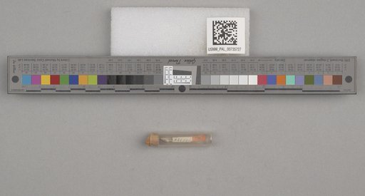 NSF ADBC EPICC TCN