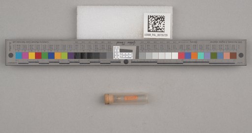 NSF ADBC EPICC TCN