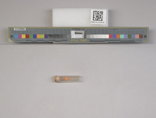 NSF ADBC EPICC TCN