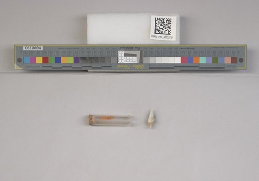 NSF ADBC EPICC TCN
