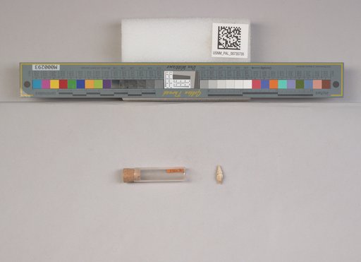 NSF ADBC EPICC TCN