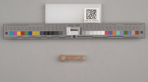 NSF ADBC EPICC TCN