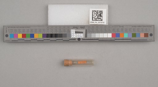 NSF ADBC EPICC TCN