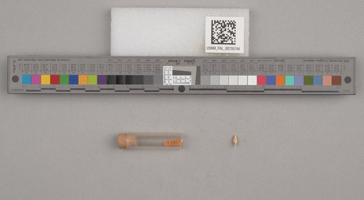 NSF ADBC EPICC TCN
