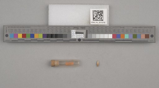 NSF ADBC EPICC TCN
